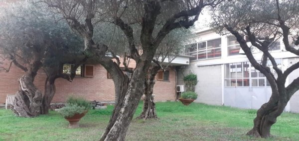 casa indipendente in vendita a Massa in zona Centro Storico