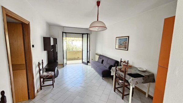 appartamento in vendita a Massa in zona Marina dei Ronchi