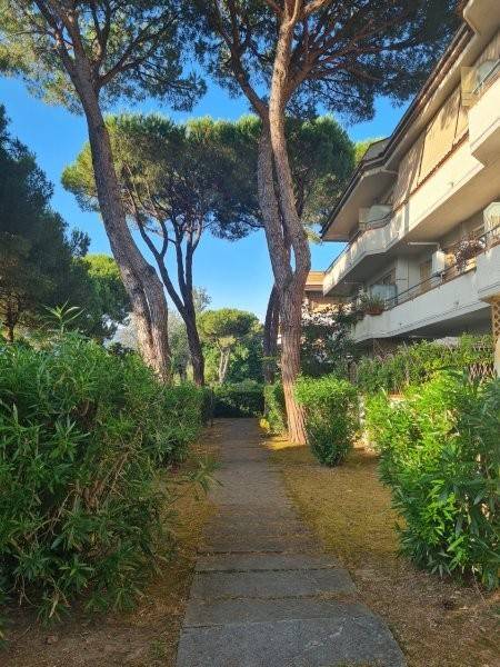 appartamento in vendita a Massa in zona Marina dei Ronchi