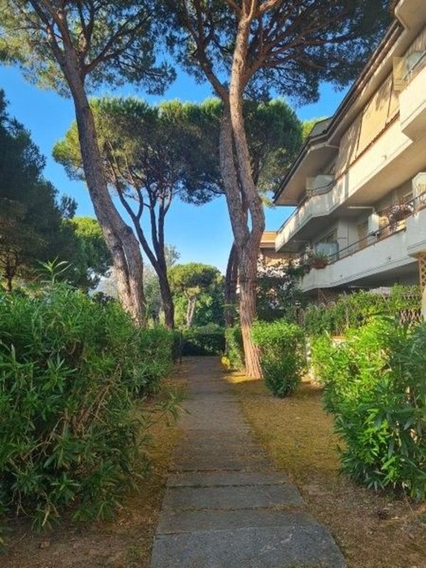appartamento in vendita a Massa in zona Marina dei Ronchi