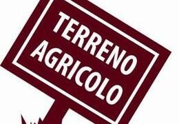 terreno agricolo in vendita a Massa