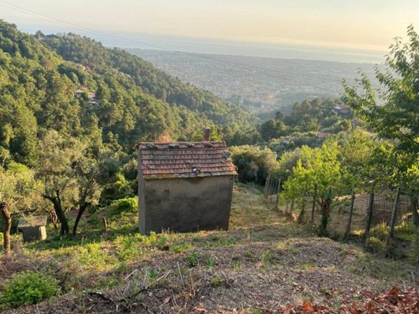 casa indipendente in vendita a Massa