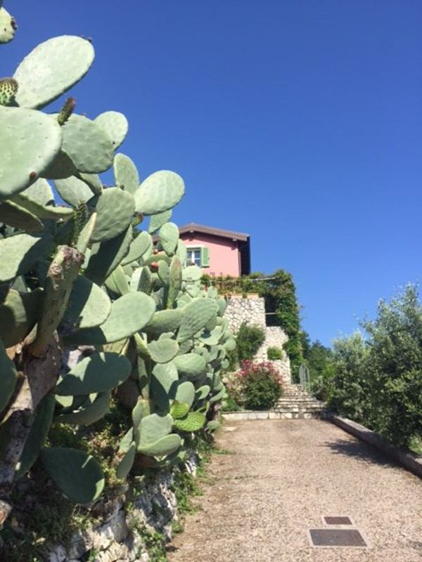 casa indipendente in vendita a Massa in zona Candia