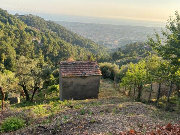 casa indipendente in vendita a Massa in zona Antona
