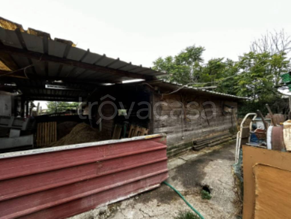 appartamento in vendita a Massa in zona Poveromo