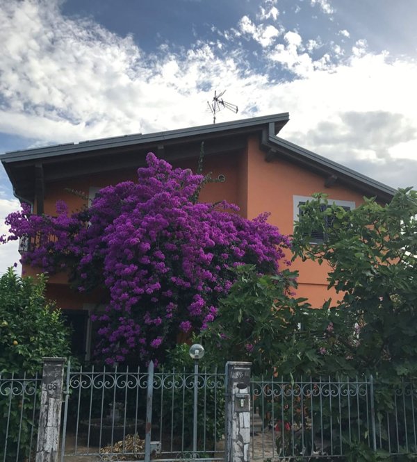 casa indipendente in vendita a Massa