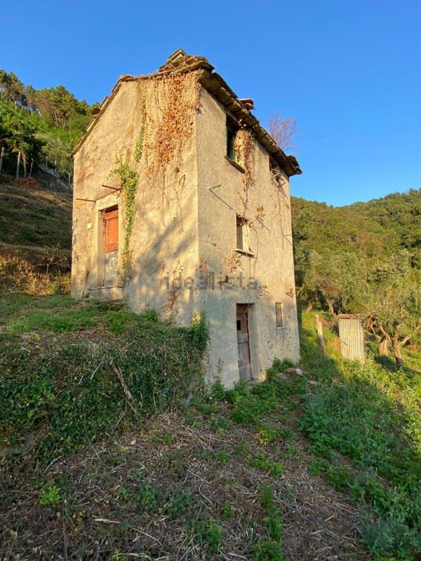 casa indipendente in vendita a Massa