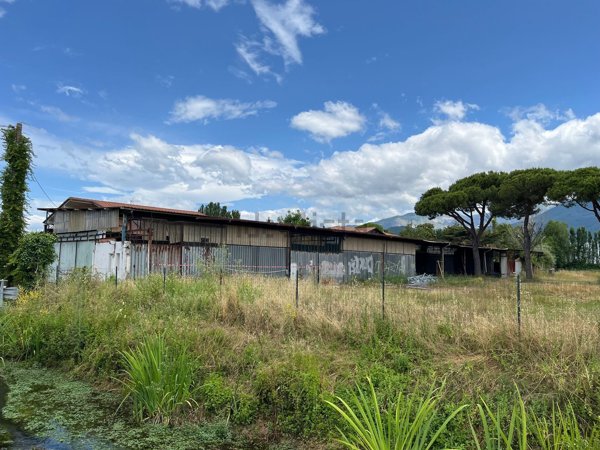 capannone in vendita a Massa in zona Marina di Massa