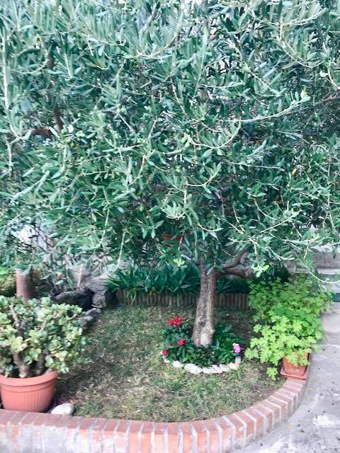 casa indipendente in vendita a Massa in zona Centro Storico