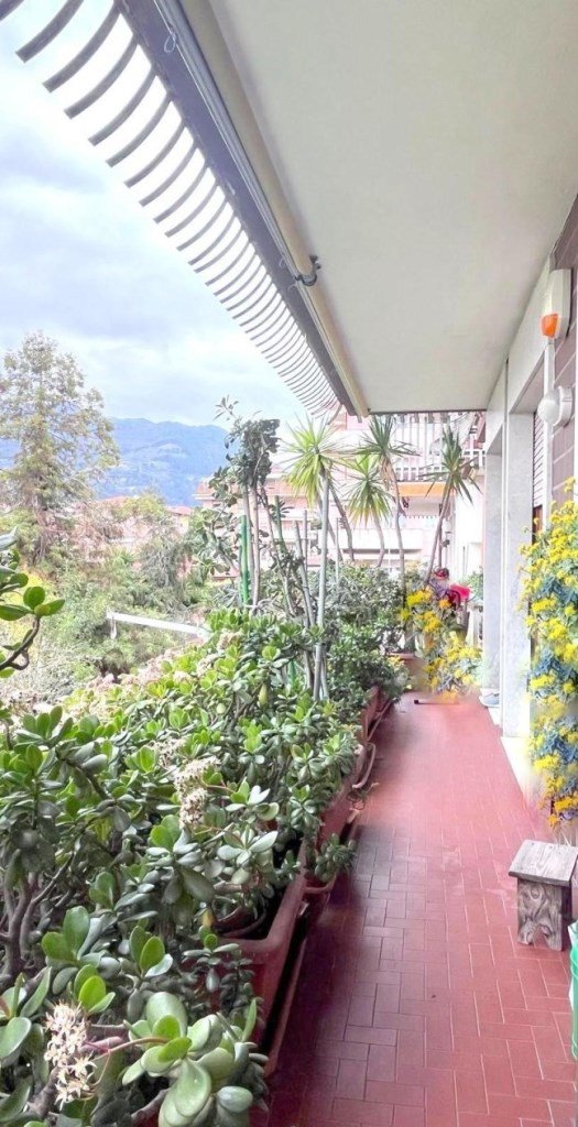 appartamento in vendita a Massa in zona Centro Storico