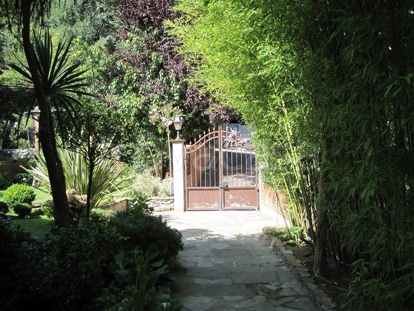 casa indipendente in vendita a Massa in zona Centro Storico
