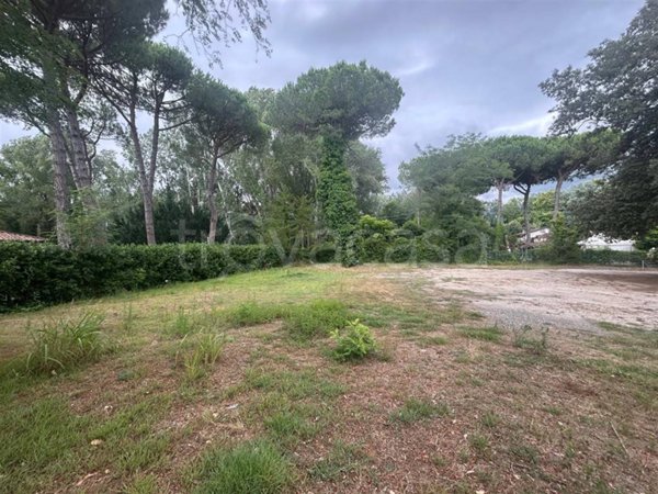 terreno agricolo in vendita a Massa in zona Poveromo