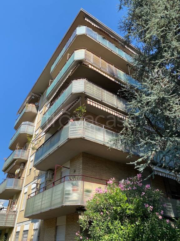 appartamento in vendita a Massa in zona Centro Storico