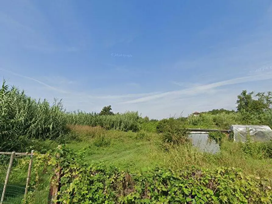 terreno agricolo in vendita a Massa in zona Marina dei Ronchi