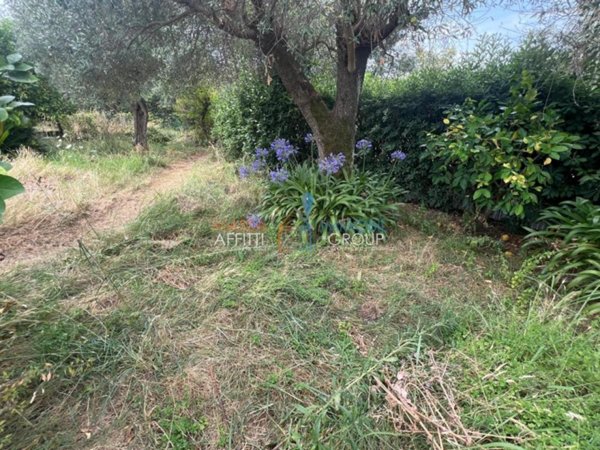 terreno agricolo in vendita a Massa