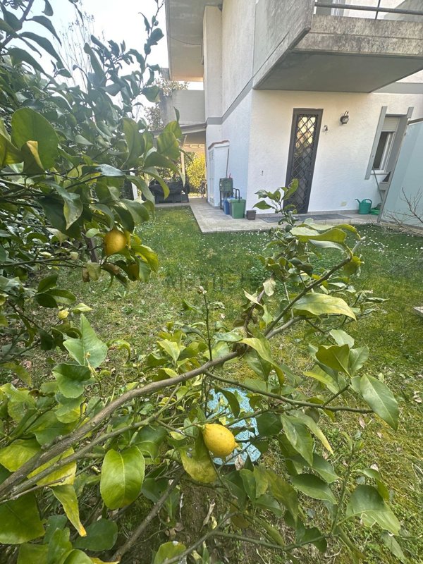 casa indipendente in vendita a Massa in zona Marina dei Ronchi