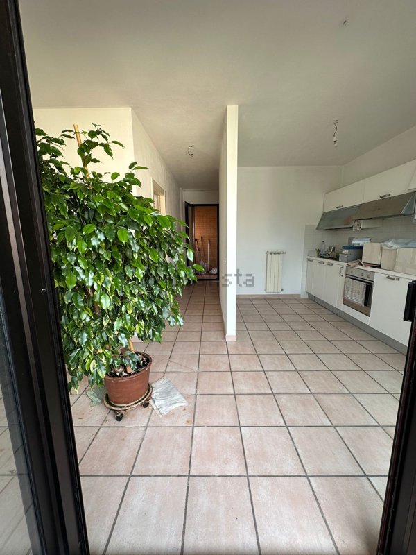 appartamento in vendita a Massa