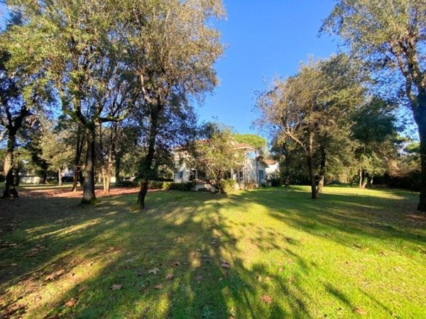 casa indipendente in vendita a Massa in zona Marina dei Ronchi