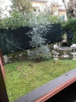 appartamento in vendita a Massa in zona Marina di Massa