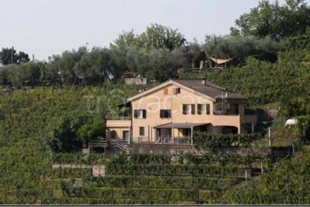 casa indipendente in vendita a Massa in zona Romagnano