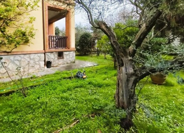 appartamento in vendita a Massa