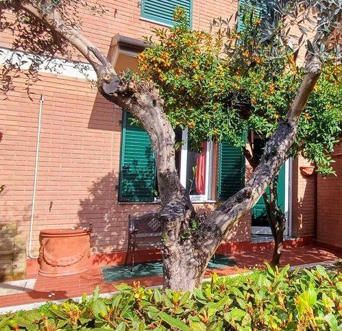 casa indipendente in vendita a Massa in zona Centro Storico