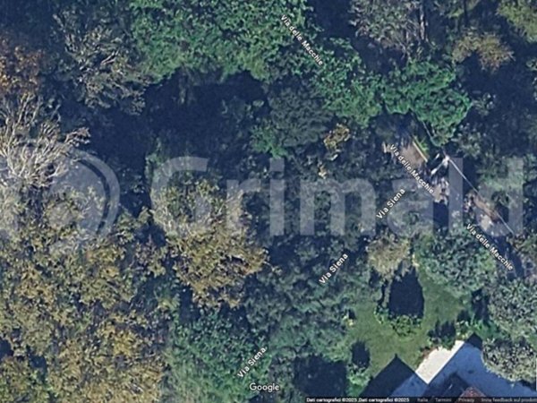 terreno agricolo in vendita a Massa in zona Poveromo