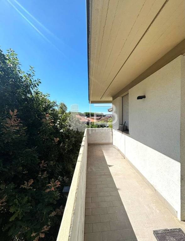 appartamento in vendita a Massa in zona Marina dei Ronchi