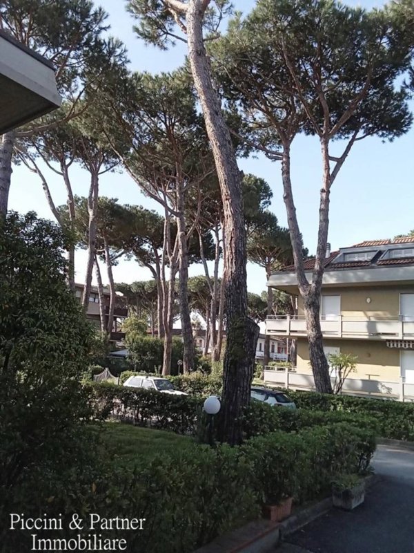 appartamento in vendita a Massa in zona Marina di Massa