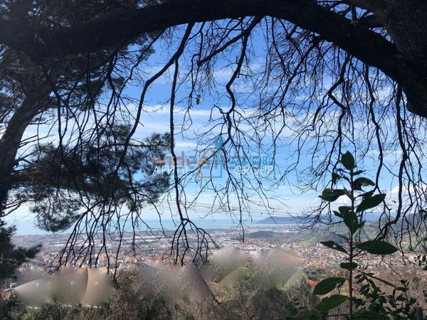 casa indipendente in vendita a Massa in zona Centro Storico