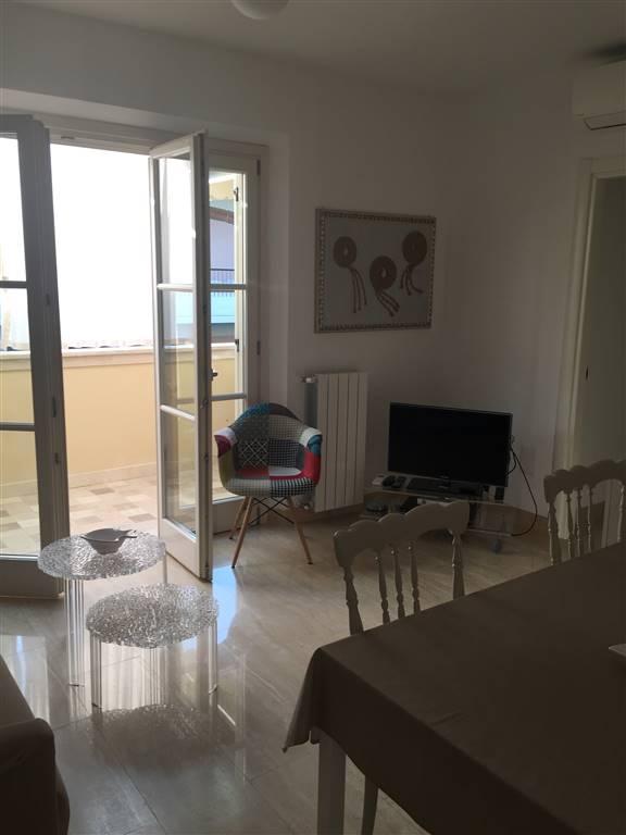 appartamento in vendita a Massa in zona Marina dei Ronchi