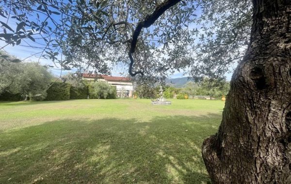 casa indipendente in vendita a Massa in zona Marina di Massa