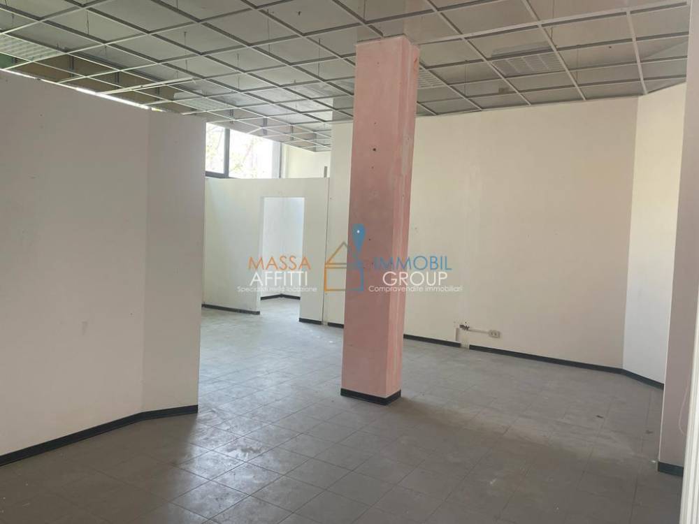 immagine annuncio 0 di 13