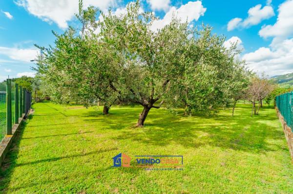 terreno agricolo in vendita a Massa in zona Marina di Massa