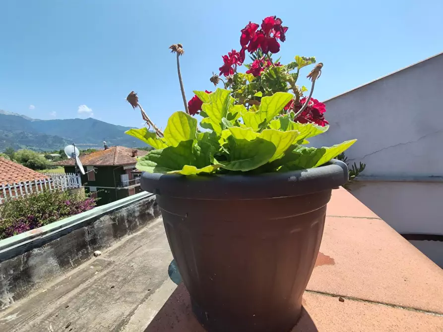 appartamento in vendita a Massa in zona Marina di Massa