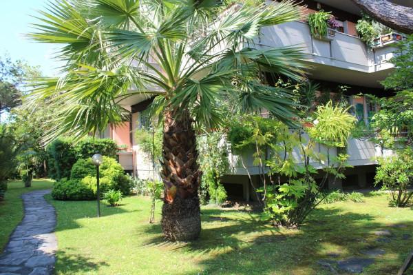 appartamento in vendita a Massa in zona Pariana