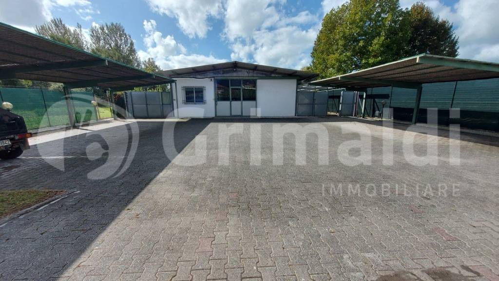 casa semindipendente in vendita a Massa in zona Marina dei Ronchi