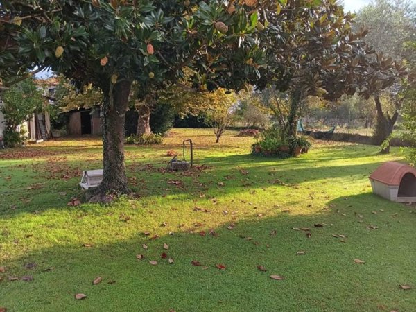 casa indipendente in vendita a Massa in zona Marina dei Ronchi