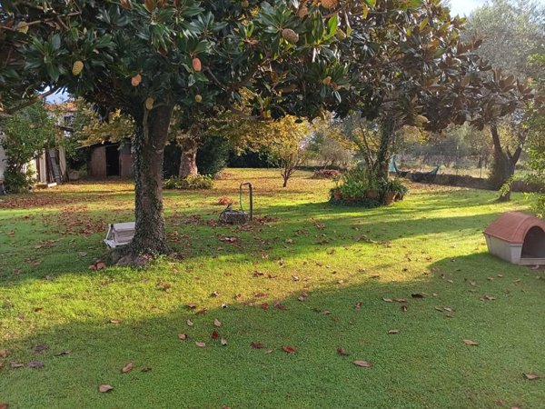 casa indipendente in vendita a Massa in zona Marina dei Ronchi