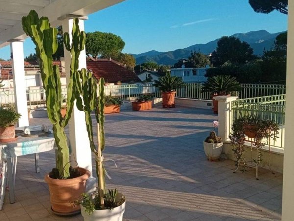appartamento in vendita a Massa in zona Marina di Massa