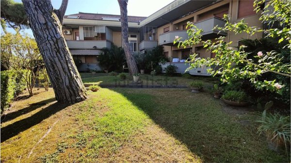 appartamento in vendita a Massa in zona Marina dei Ronchi