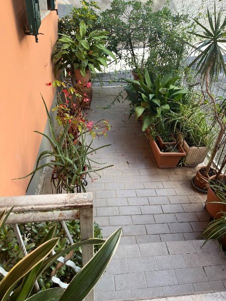 casa indipendente in vendita a Massa in zona Centro Storico
