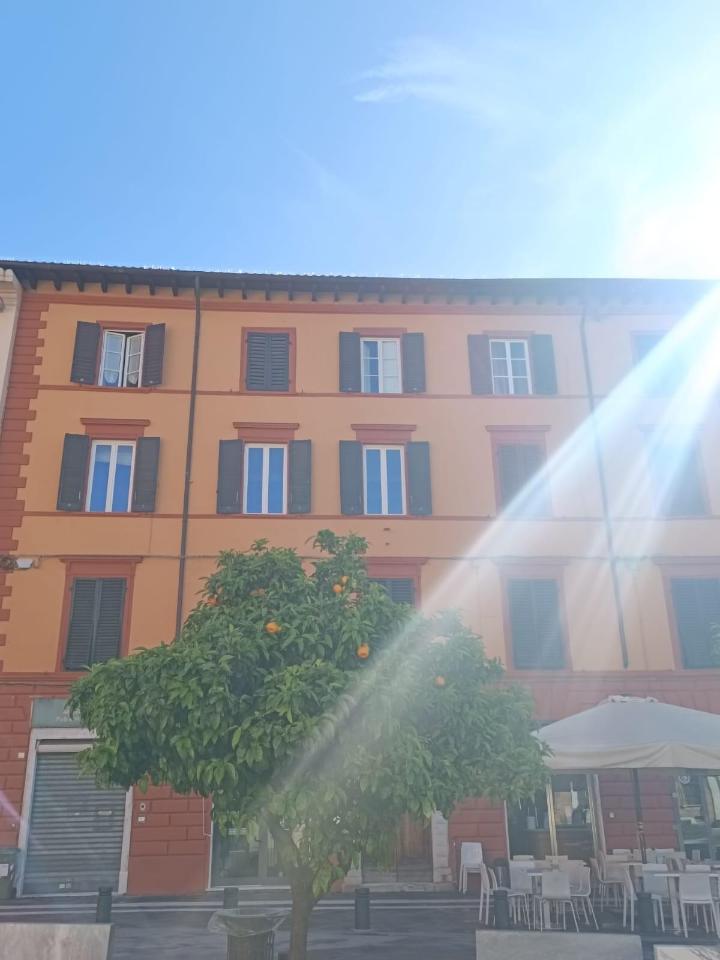appartamento in vendita a Massa in zona Centro Storico