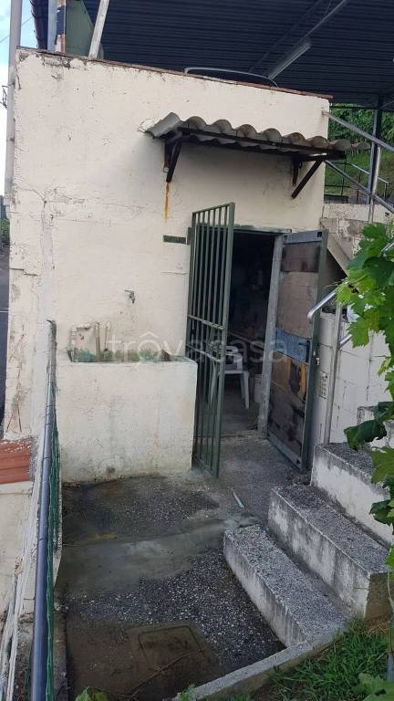 terreno agricolo in vendita a Massa in zona Mirteto