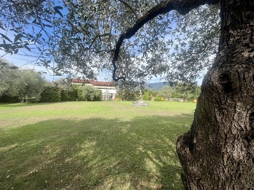 casa indipendente in vendita a Massa in zona Marina di Massa