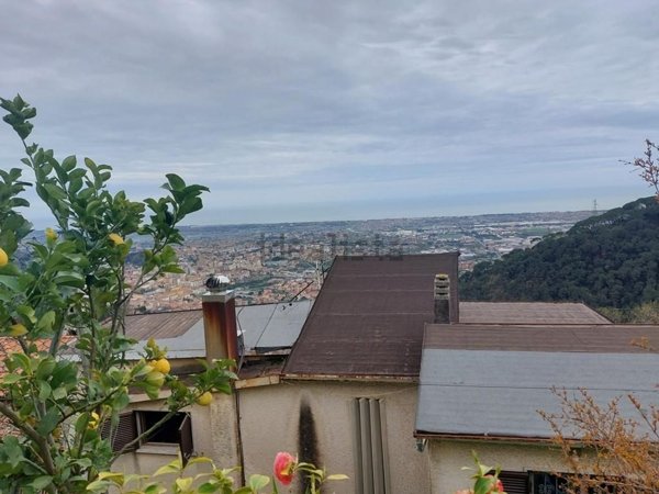 casa indipendente in vendita a Massa