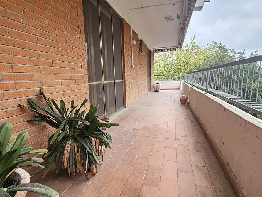 appartamento in vendita a Massa in zona Centro Storico