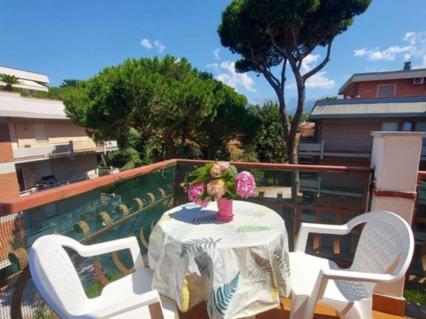 appartamento in vendita a Massa in zona Marina dei Ronchi