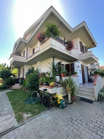 casa indipendente in vendita a Massa in zona Marina di Massa