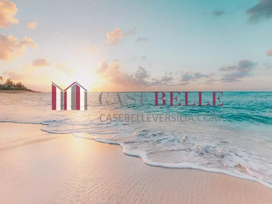 negozio in vendita a Massa in zona Marina dei Ronchi